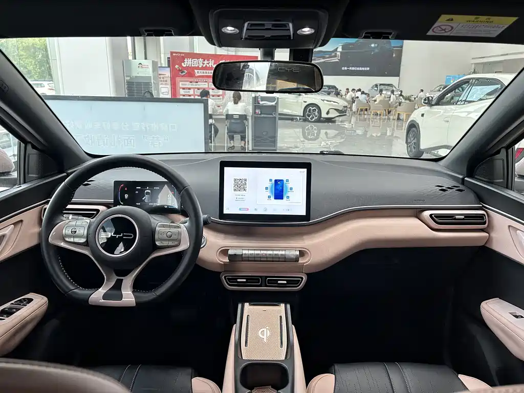 BYD Seagull 2024