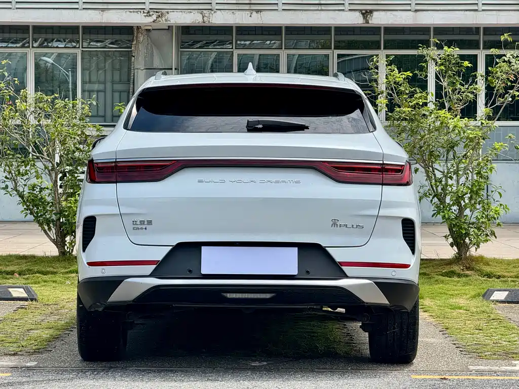 BYD PLUS New Energy 2022 — фото 18