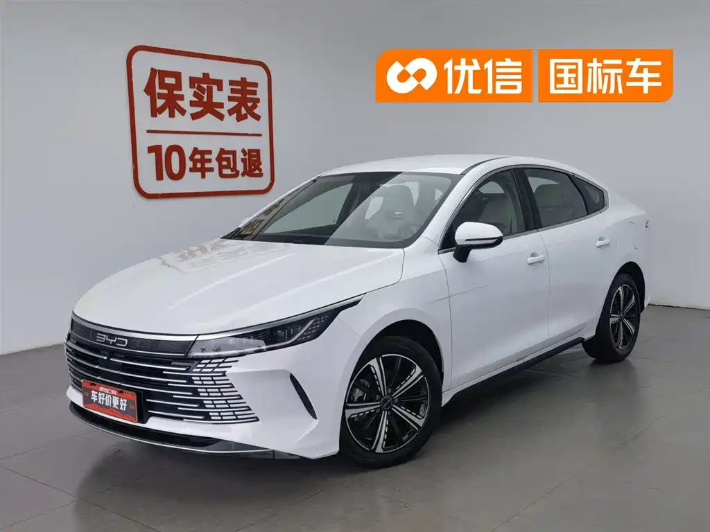 BYD Destroyer 05 2024