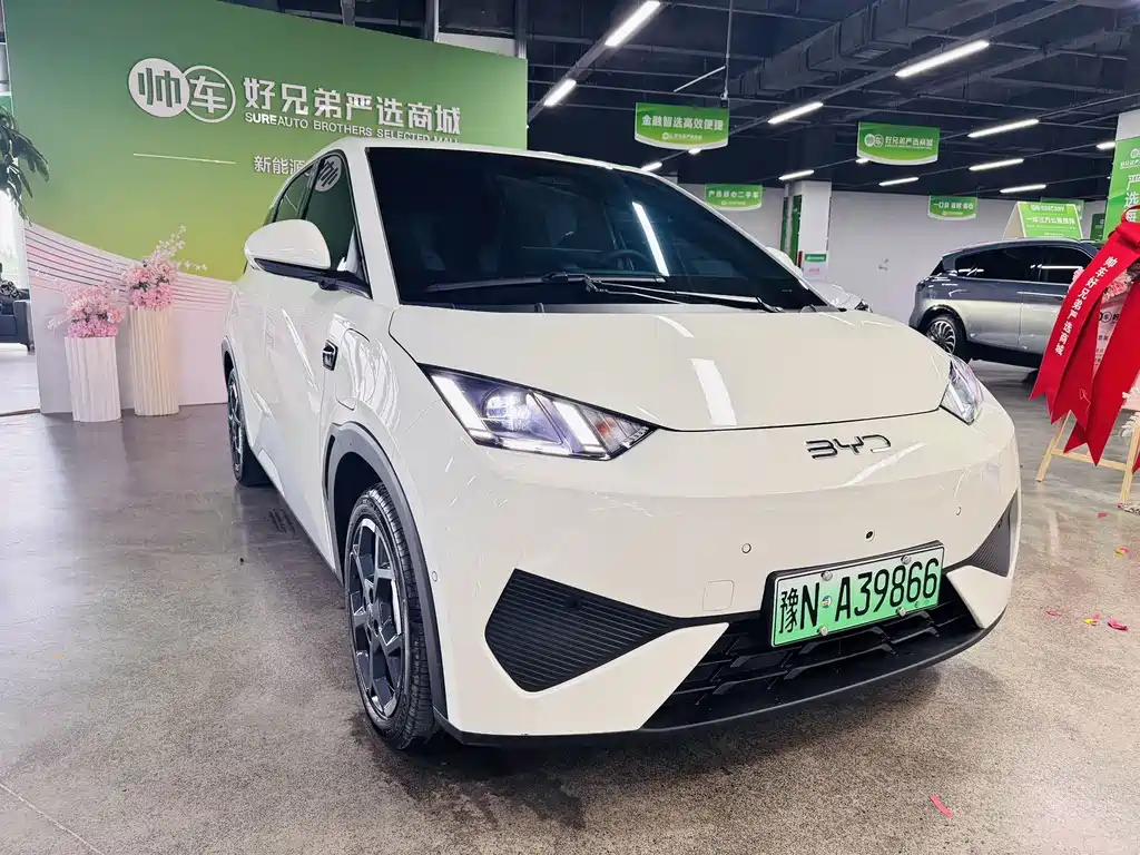 BYD Seagull 2025