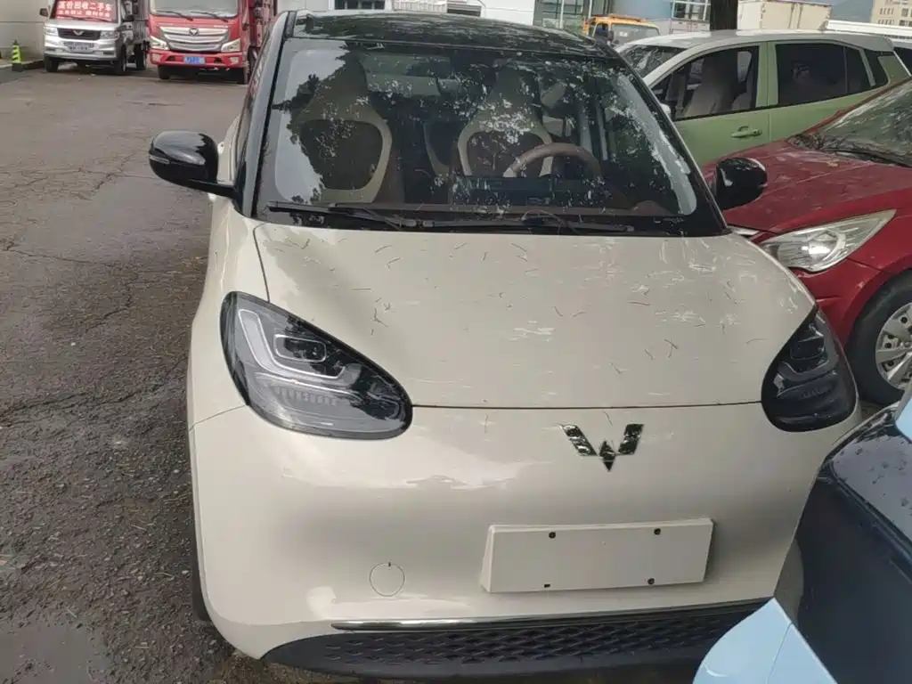 Wuling Bingo 2024