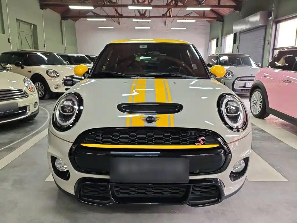 MINI MINI 2019