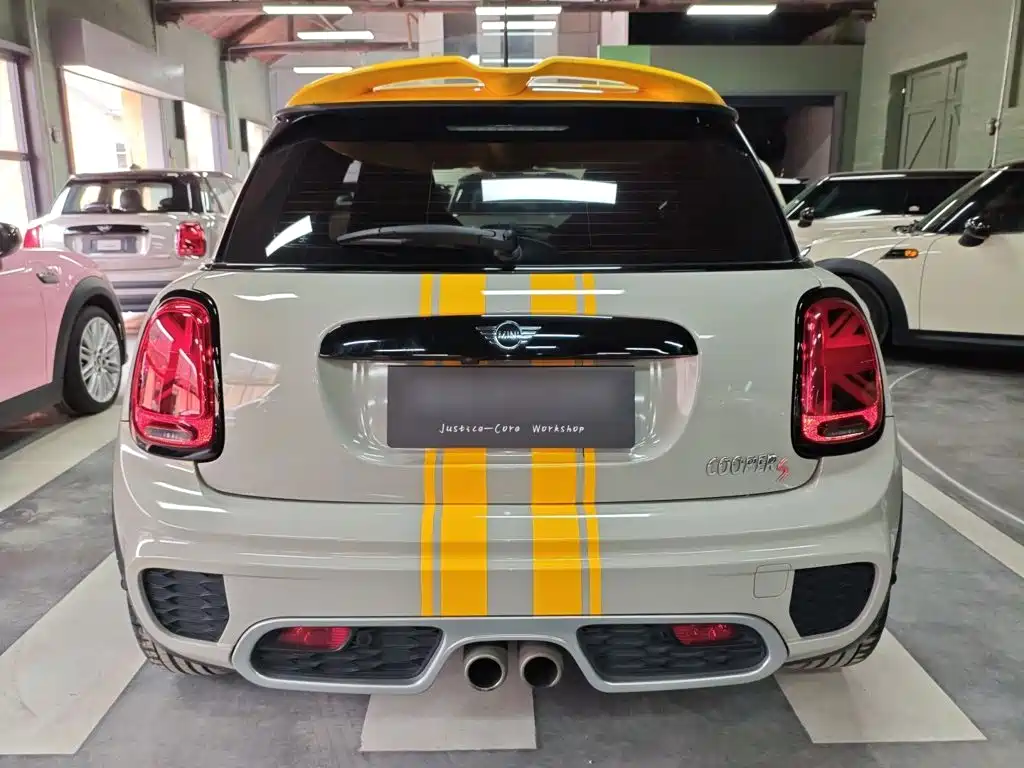 MINI MINI 2019