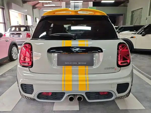 MINI MINI 2019