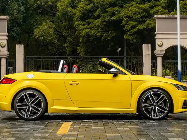 Audi TTS 2018