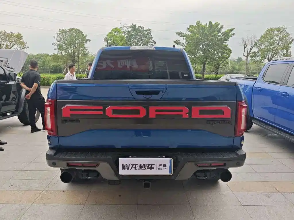 Ford F-150 Raptor 2019 — фото 8