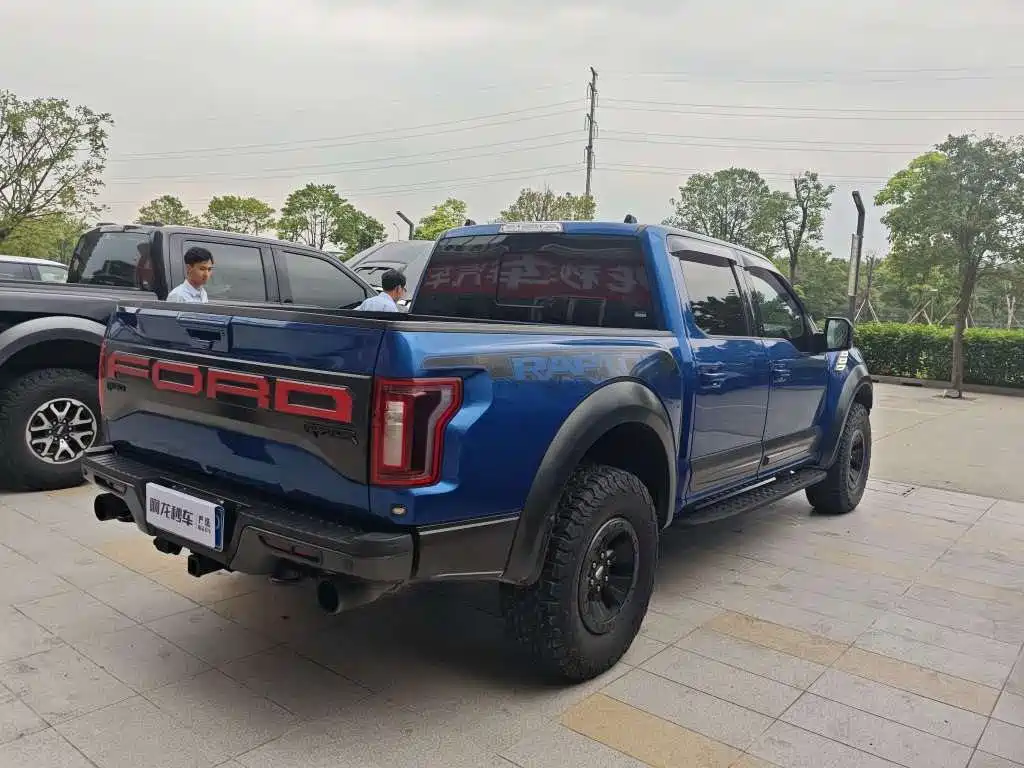 Ford F-150 Raptor 2019 — фото 10
