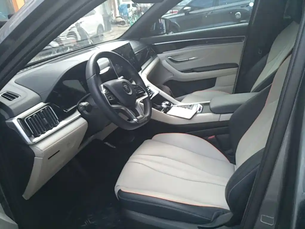 BYD Song PLUS New Energy 2022 — фото 15