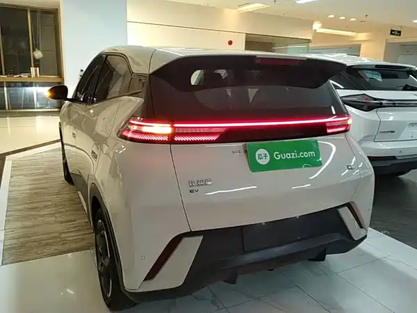 BYD Seagull 2024