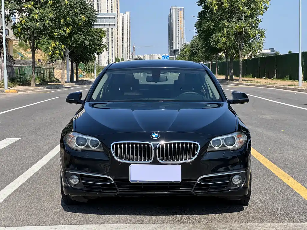 BMW 5 Series 2014 — фото 2