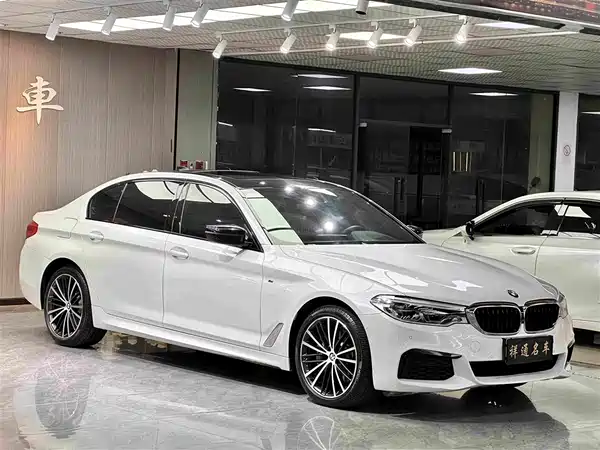 BMW 5 Series 2019