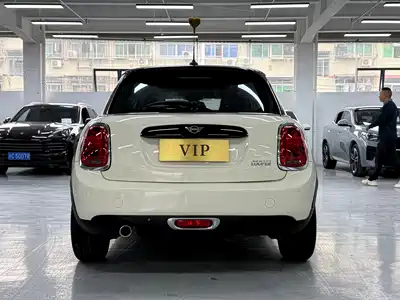 MINI MINI 2018