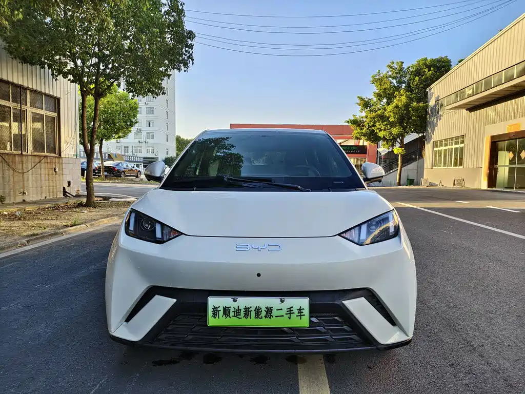 BYD Seagull 2024