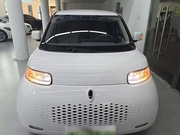 Ora White Cat 2020