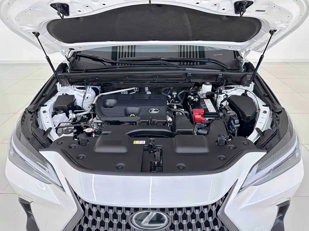 Lexus NX 2024 — фото 7