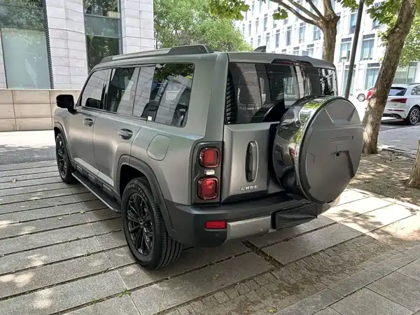 Haval Raptors New Energy 2025