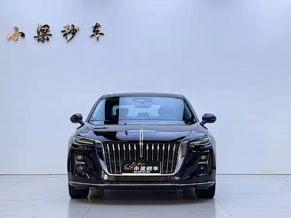 Hongqi H5 2024