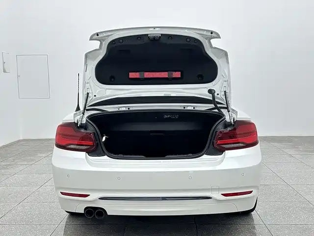 BMW 2 Series 2019 — фото 15