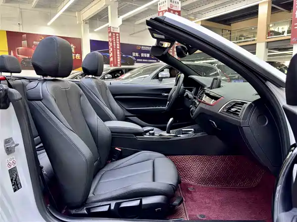 BMW 2 Series 2018