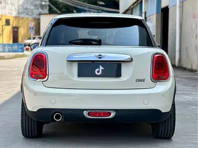 MINI MINI 2021