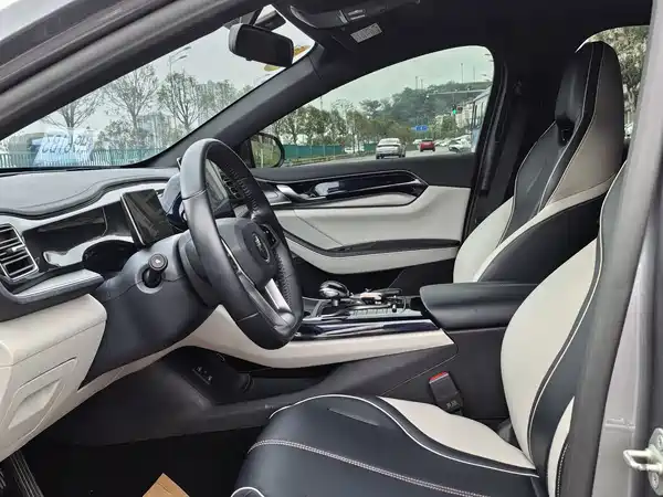 BYD Qin PLUS 2021