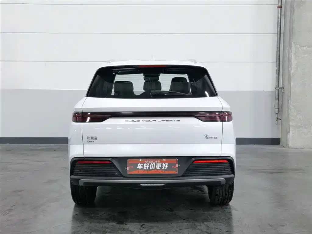 BYD Pro New Energy 2023 — фото 4