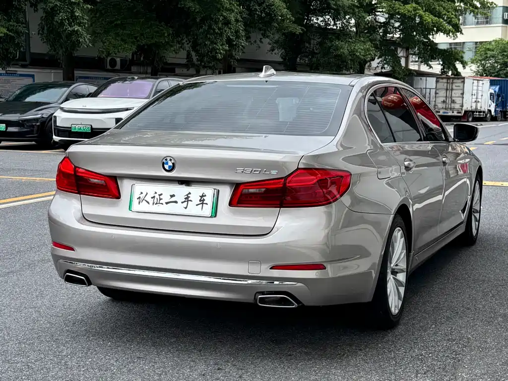 BMW 5 Series New Energy 2020 — фото 18