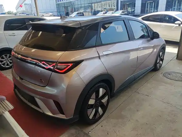 BYD Dolphin 2022