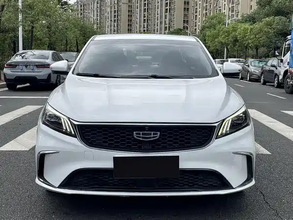 Geely Binrui 2021