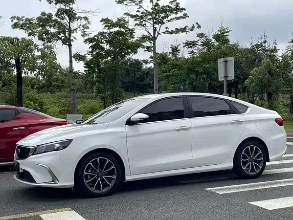 Geely Binrui 2021