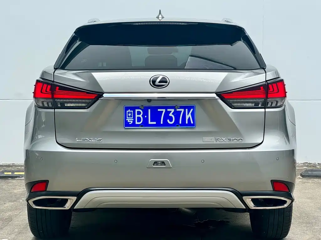 Lexus RX 2021 — фото 18