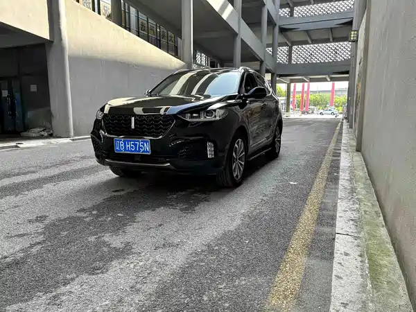 Wey VV6 2019