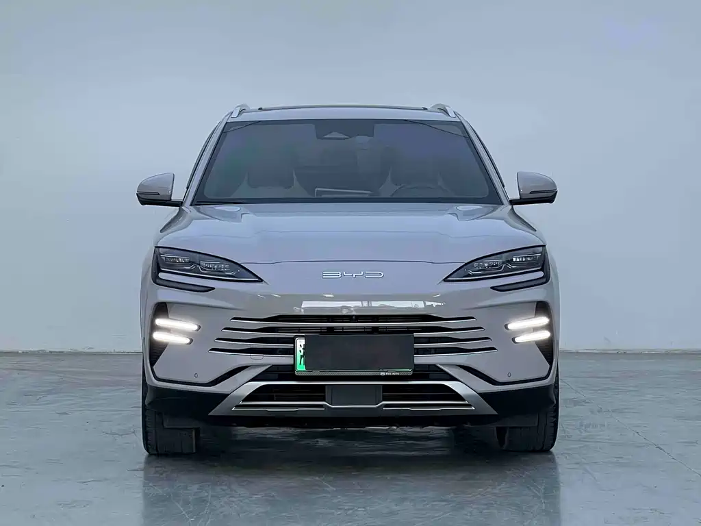 BYD PLUS New Energy 2024 — фото 2