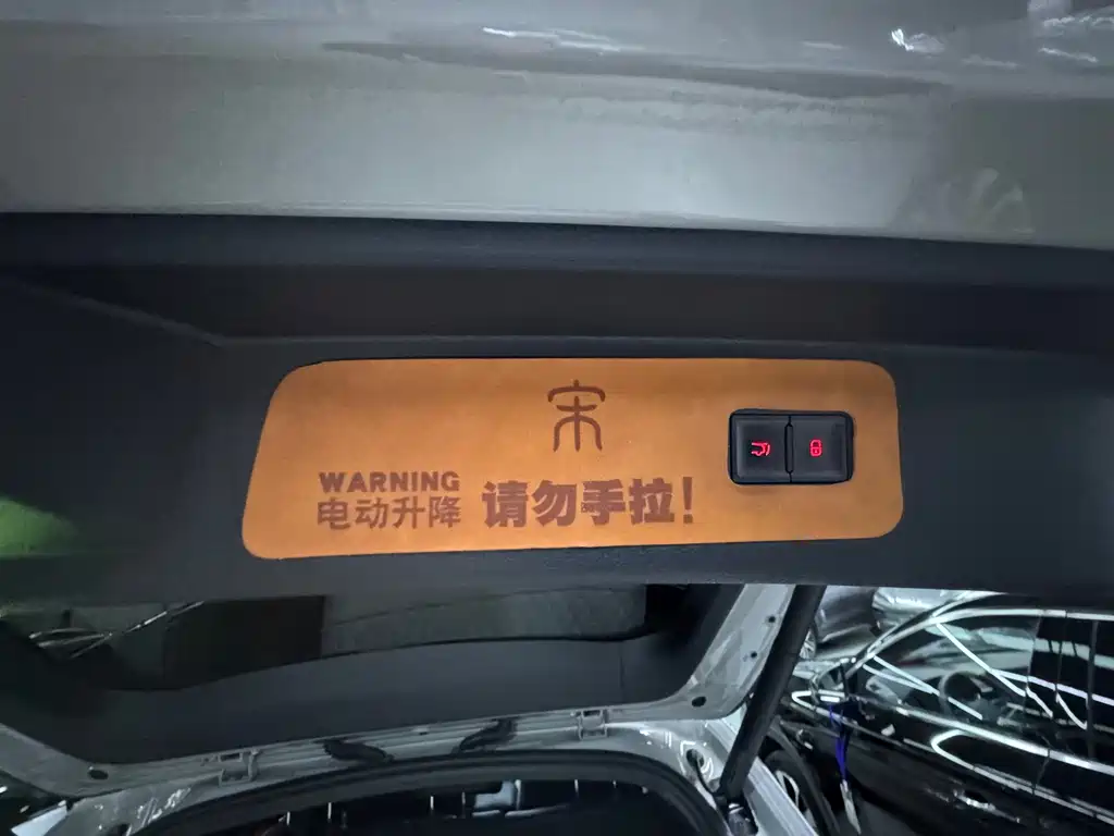 BYD PLUS New Energy 2024 — фото 18