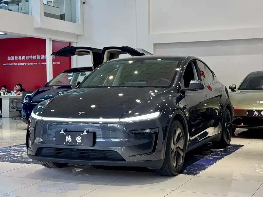 Tesla Model Y 2025 — фото 1