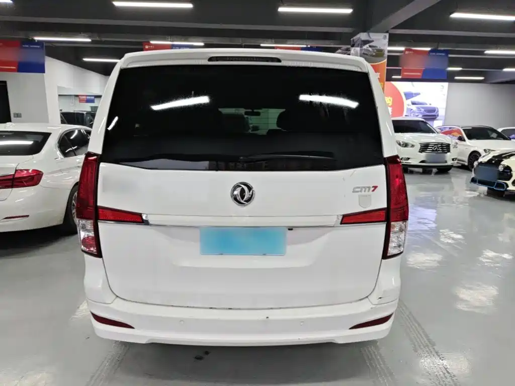 Fengxing Lingzhi PLUS 2021