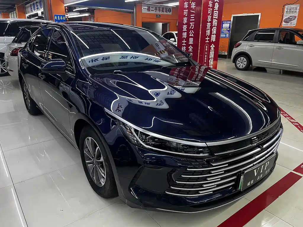 BYD Destroyer 05 2024 — фото 1