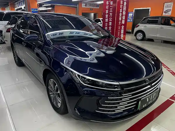 BYD Destroyer 05 2024