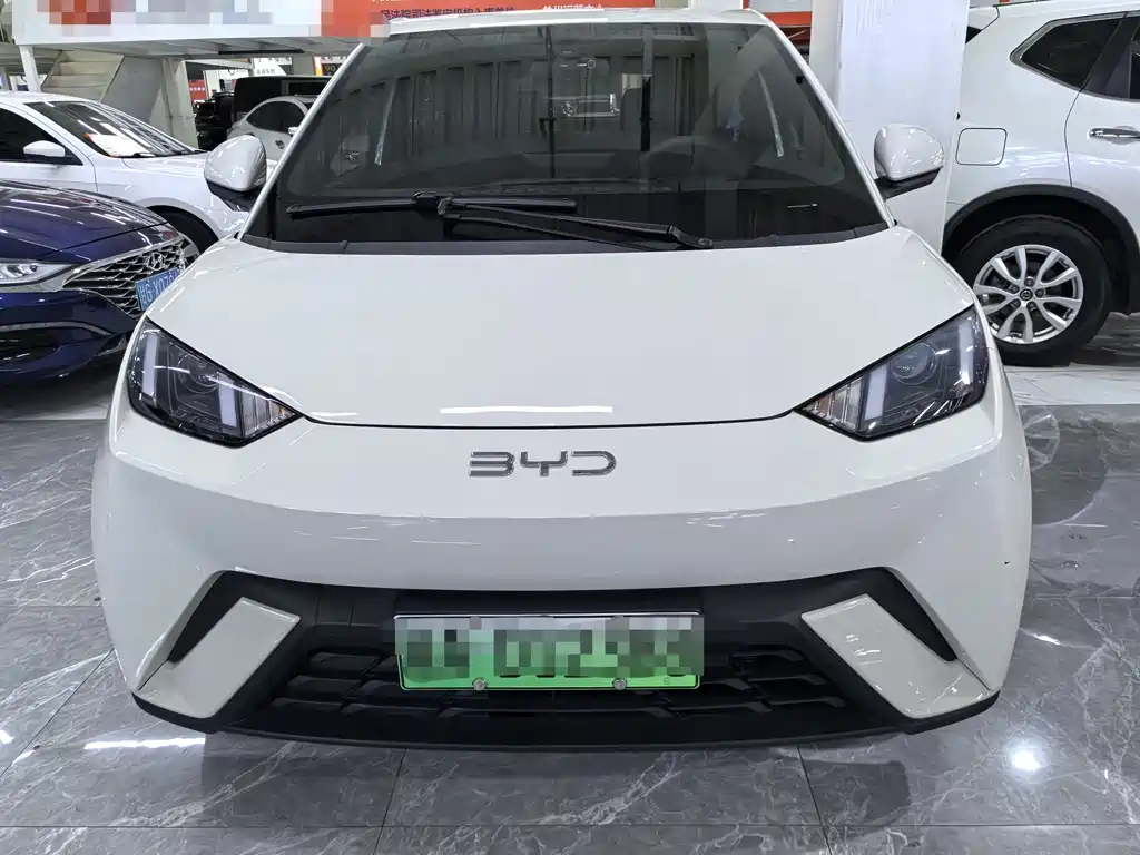 BYD Seagull 2024
