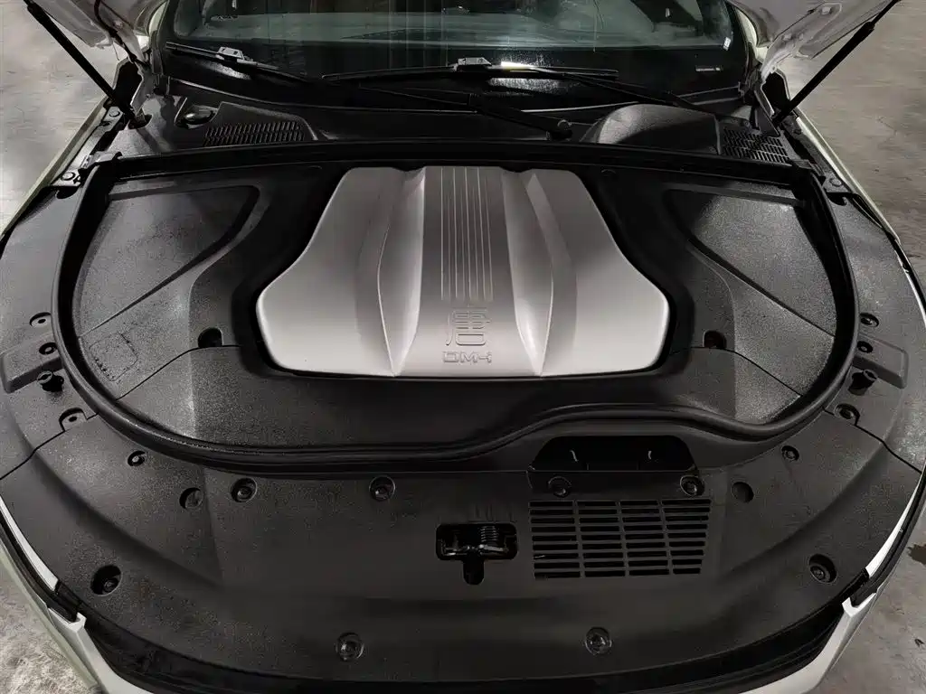 BYD Tang New Energy 2022