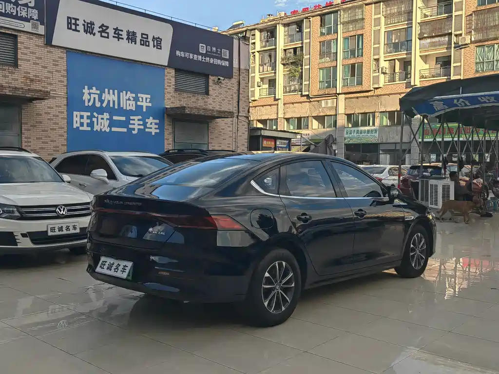 BYD Qin PLUS 2023 — фото 3