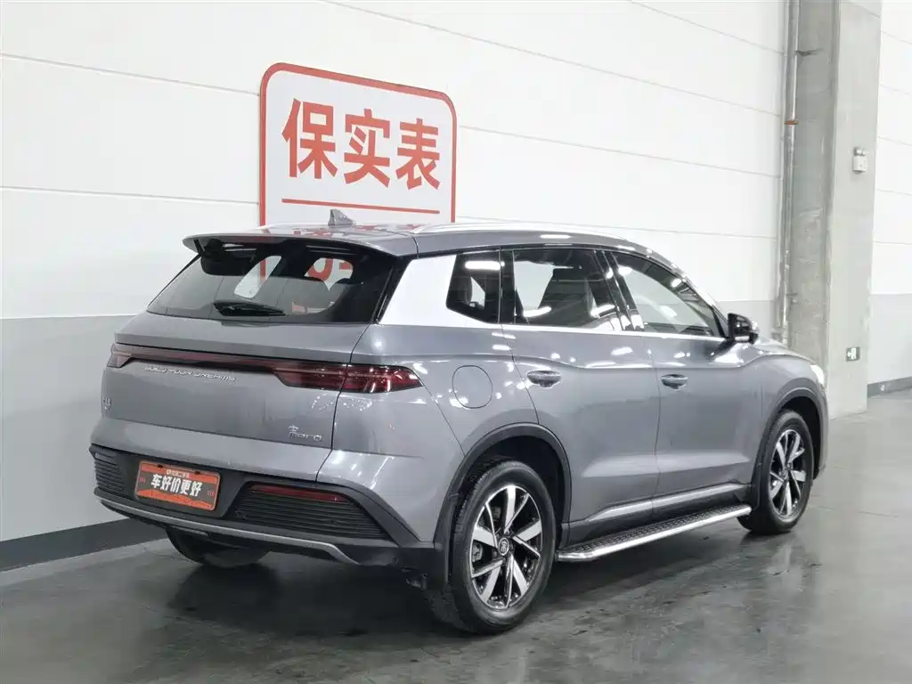 BYD Pro New Energy 2024 — фото 2