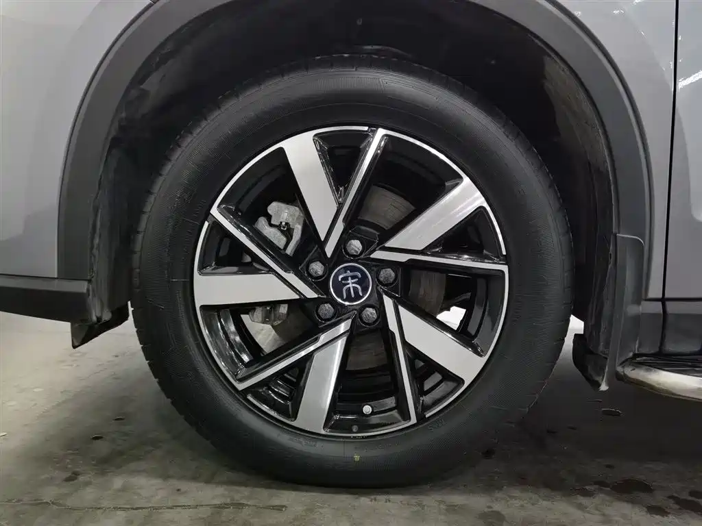 BYD Pro New Energy 2024 — фото 17