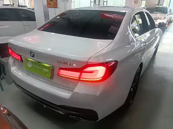 BMW 5 Series New Energy 2021