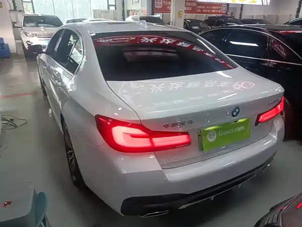 BMW 5 Series New Energy 2021