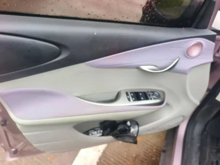 BYD Dolphin 2022