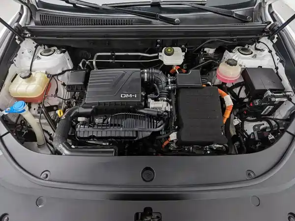 BYD Song Pro New Energy 2022