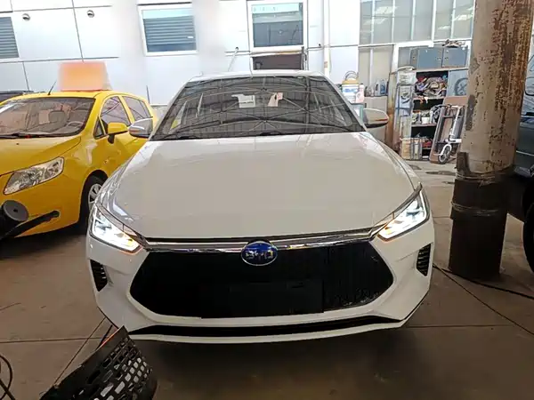 BYD e2 2019