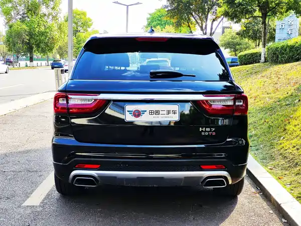 Hongqi HS7 2020