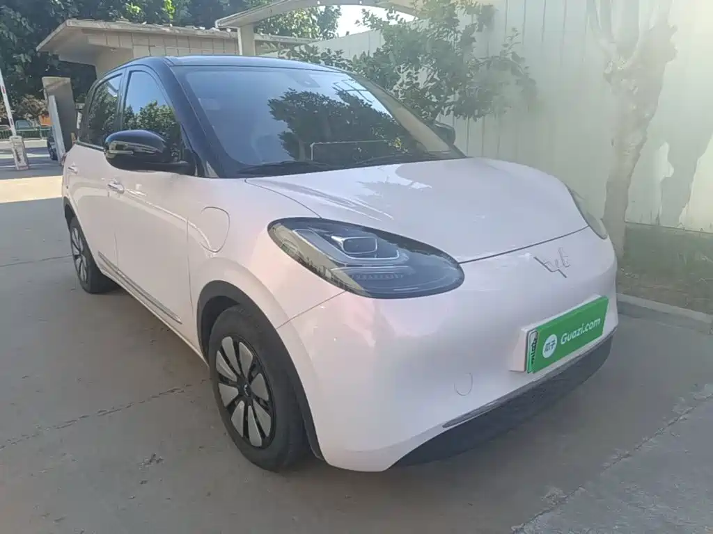 Wuling Bingo 2024
